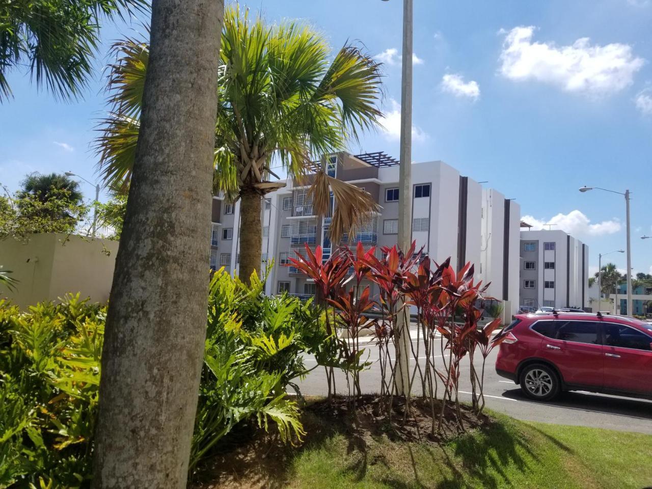 Oasis Palma Real santiago, Republica Dominicana, Santiago de los Caballeros  – Updated 2023 Prices